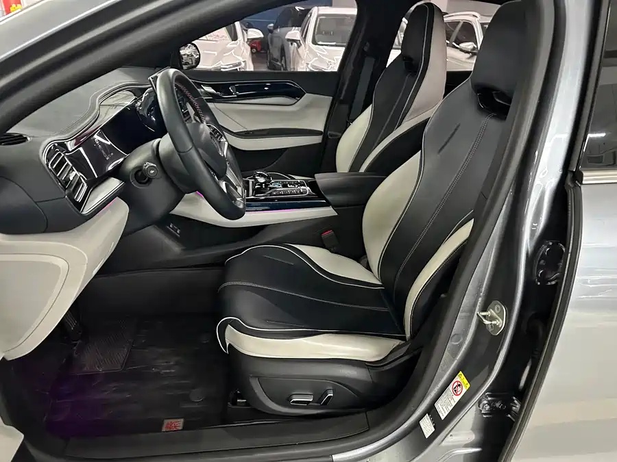 BYD BYD Qin PLUS 2021 EV 500km Honorable Type