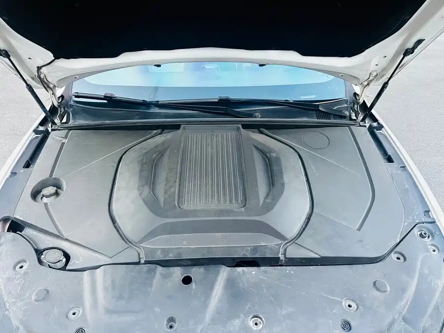 BYD BYD Qin PLUS 2023 Champion Edition EV 510km Leading Type