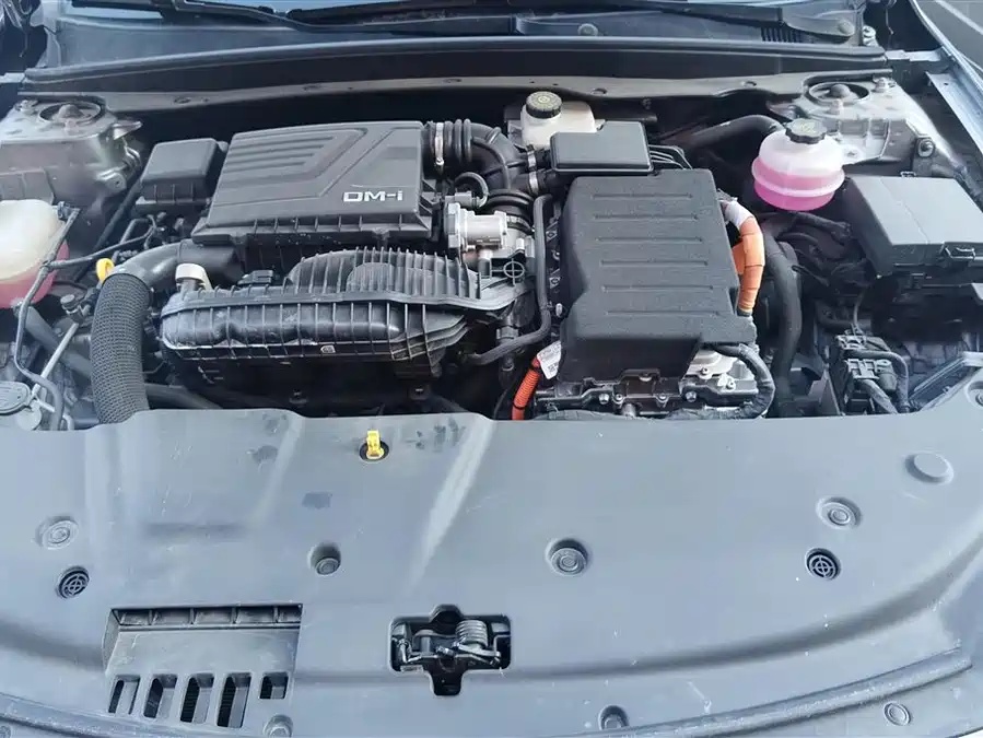 BYD BYD Qin PLUS 2024 Glory Edition DM-i 55KM Leading Model