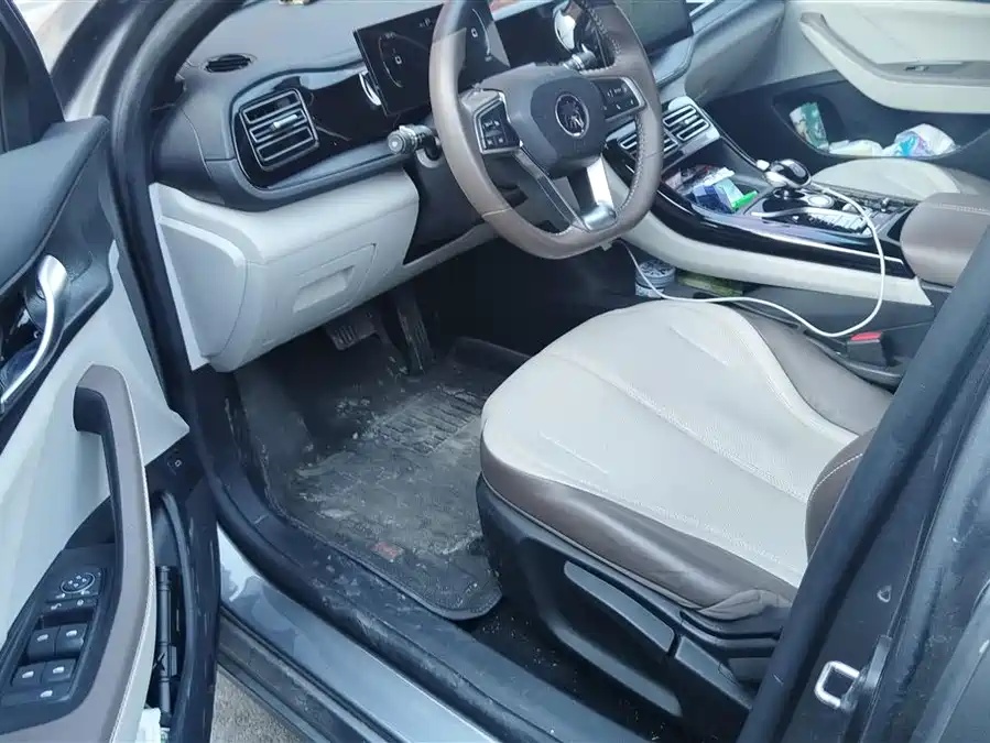 BYD BYD Qin PLUS 2024 Glory Edition DM-i 55KM Leading Model