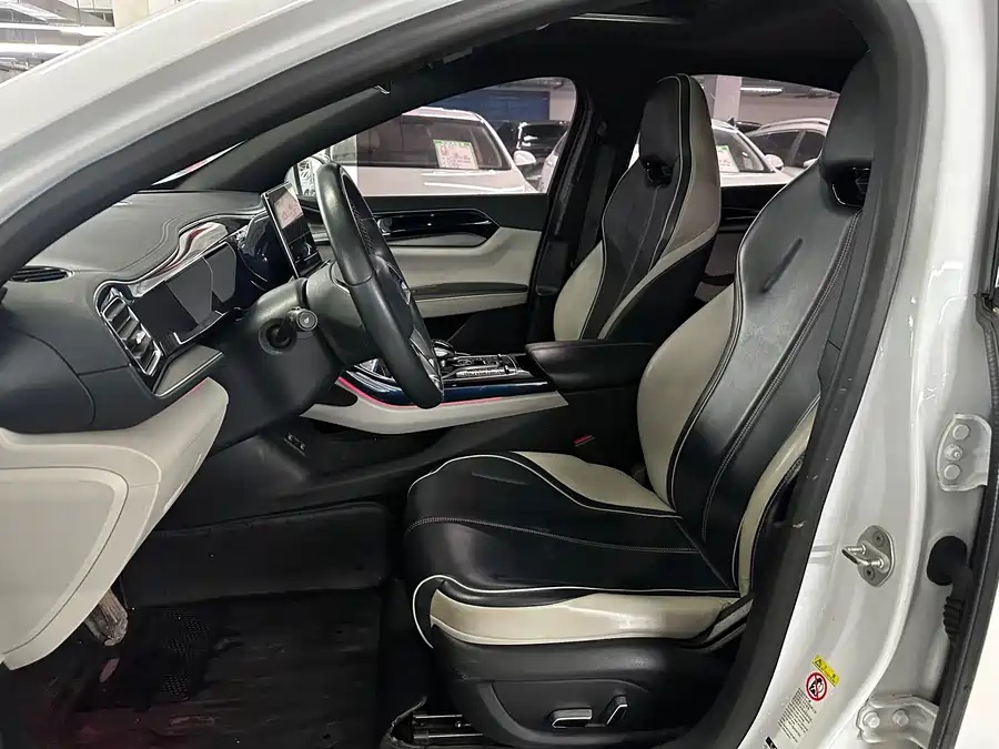BYD Qin PLUS 2021 EV 500km Honorable Type