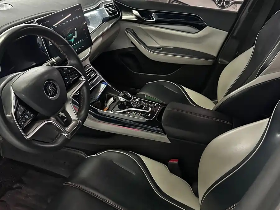 BYD Qin PLUS 2021 EV 500km Honorable Type