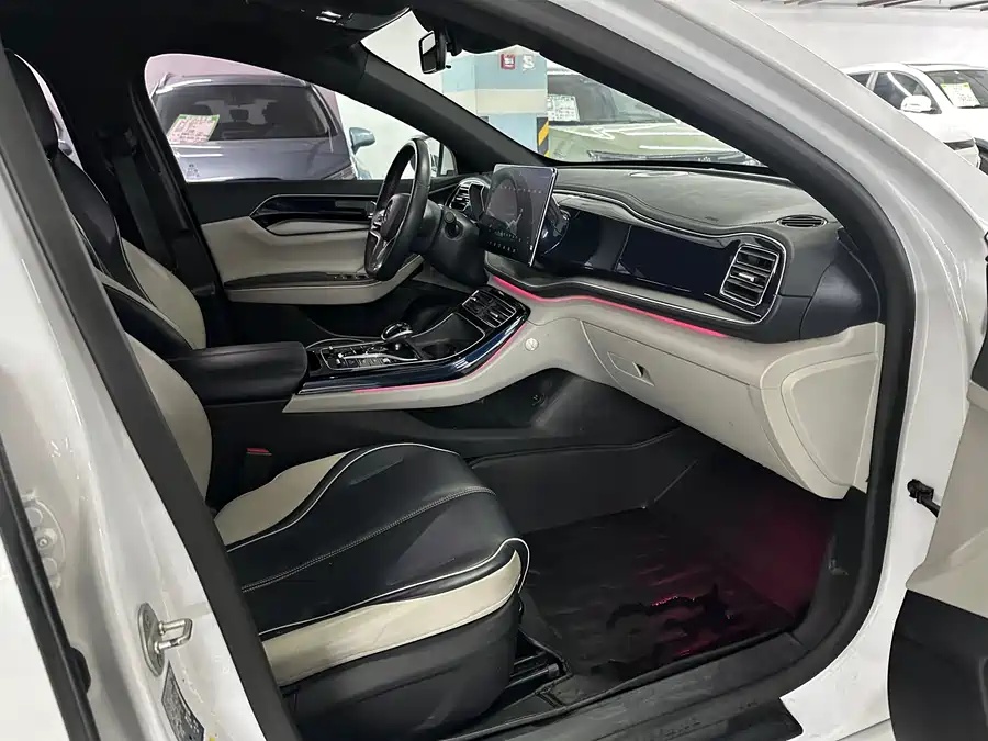 BYD Qin PLUS 2021 EV 500km Honorable Type