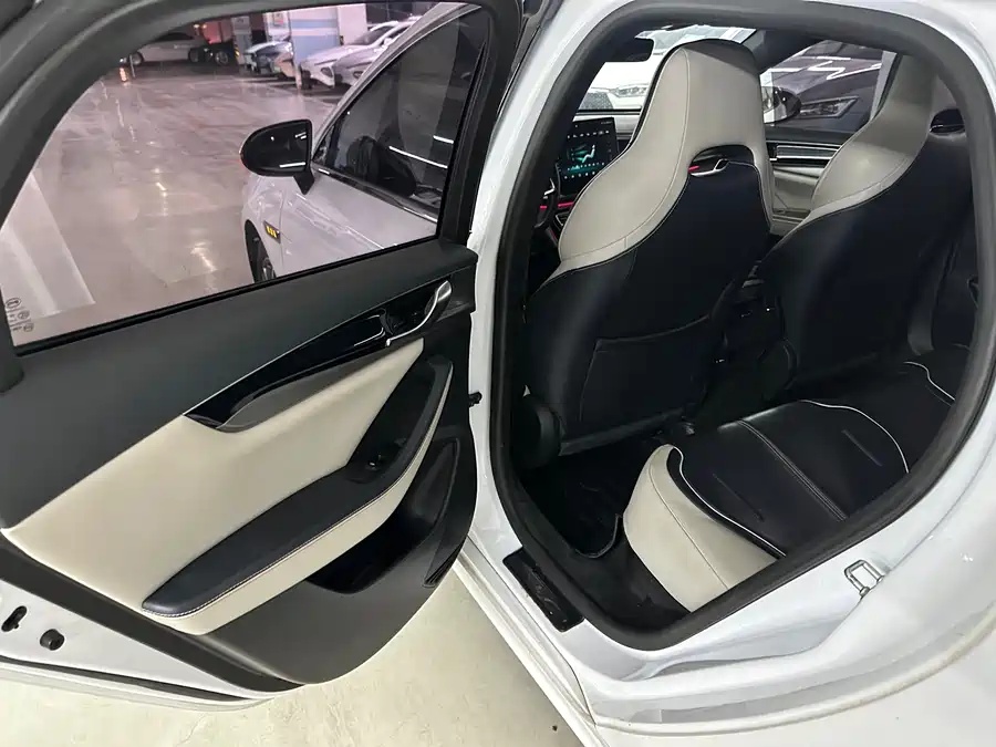 BYD Qin PLUS 2021 EV 500km Honorable Type