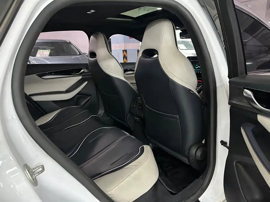 BYD Qin PLUS 2021 EV 500km Honorable Type