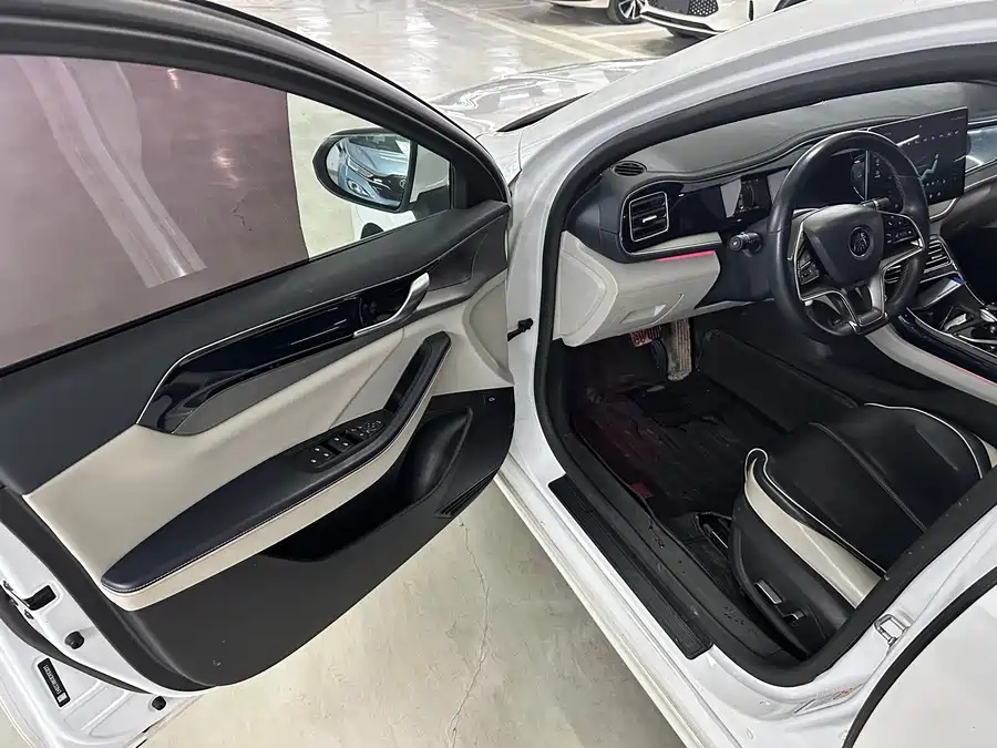 BYD Qin PLUS 2021 EV 500km Honorable Type