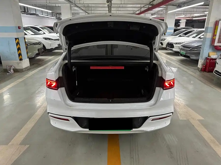 BYD Qin PLUS 2021 EV 500km Honorable Type