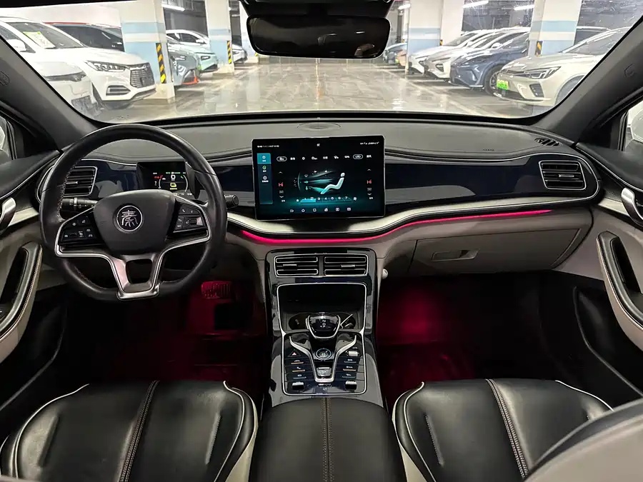BYD Qin PLUS 2021 EV 500km Honorable Type