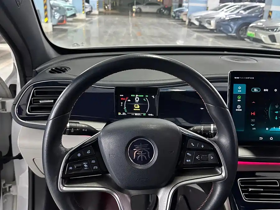 BYD Qin PLUS 2021 EV 500km Honorable Type