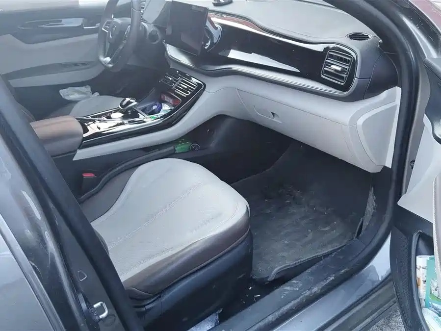 BYD Qin PLUS 2024 Glory Edition DM-i 55KM Leading Model