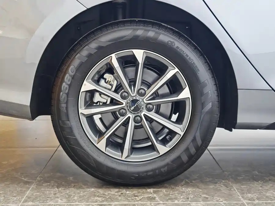 BYD Destroyer 05 2023 Champion Edition DM-i 55KM Luxury