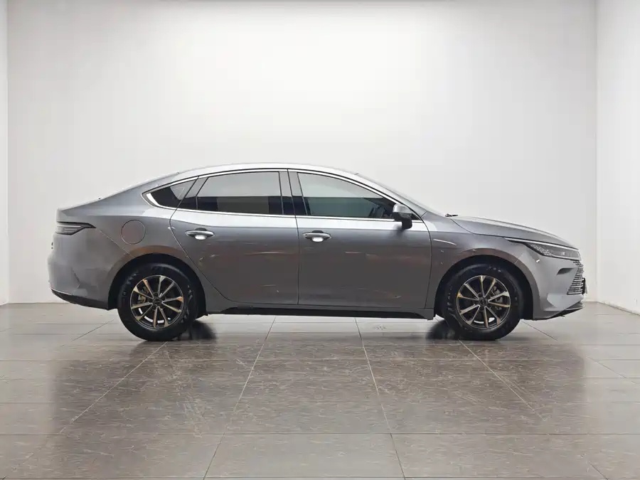 BYD Destroyer 05 2023 Champion Edition DM-i 55KM Luxury