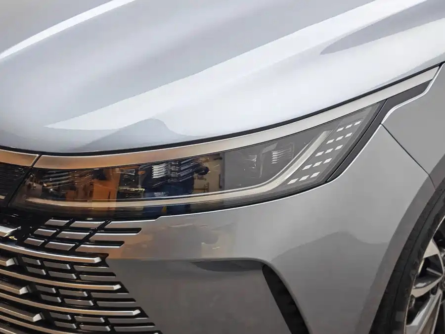 BYD Destroyer 05 2023 Champion Edition DM-i 55KM Luxury