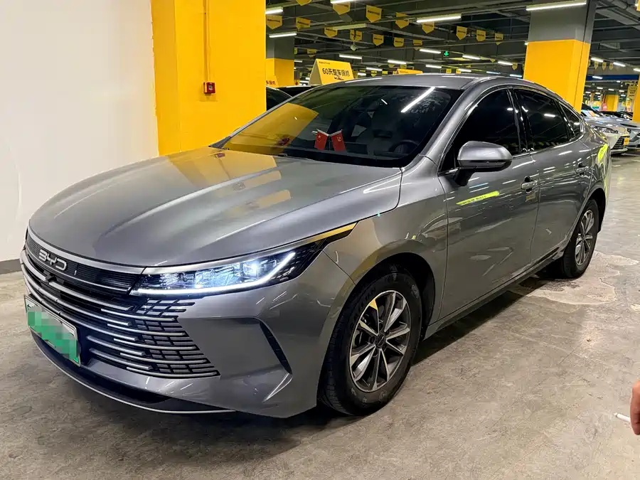 Destroyer 05 2024 Honor Edition DM-i 55KM Luxury