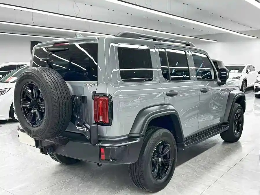 Tank Tank 300 2024 2.0T Conqueror