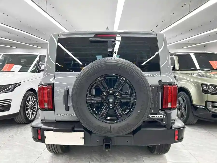 Tank Tank 300 2024 2.0T Conqueror