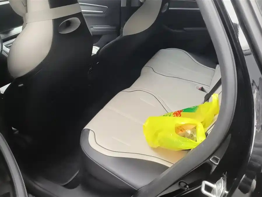 BYD BYD Destroyer 05 2024 Honor Edition DM-i 55KM Luxury