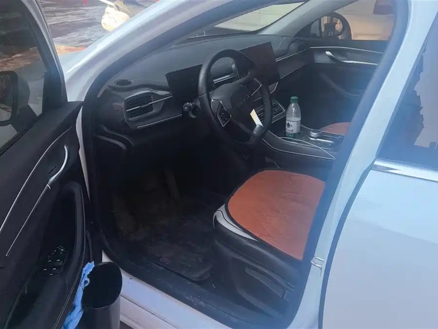 BYD BYD Destroyer 05 2024 Honor Edition DM-i 55KM Luxury