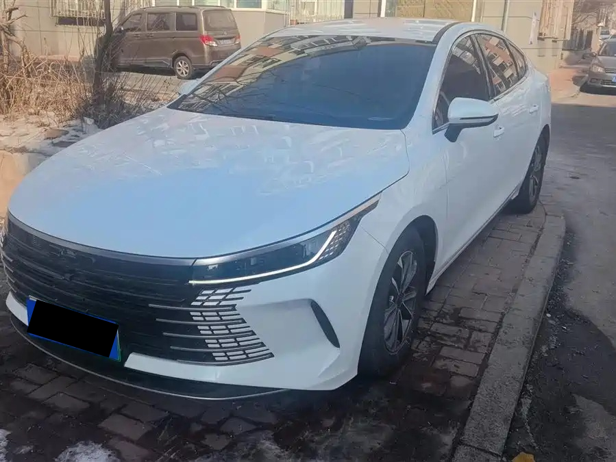 BYD Destroyer 05 2024 Honor Edition DM-i 55KM Luxury