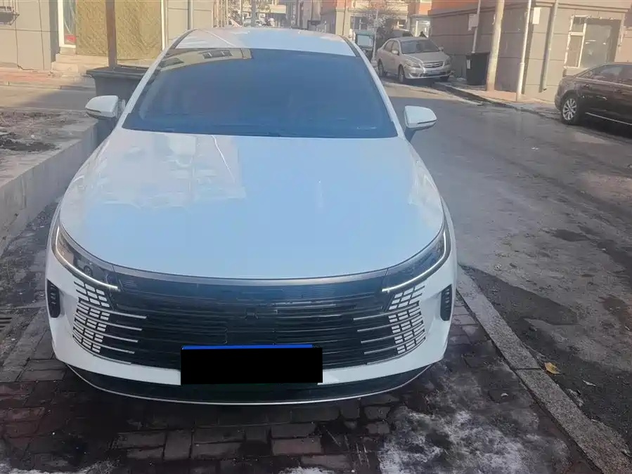 BYD BYD Destroyer 05 2024 Honor Edition DM-i 55KM Luxury