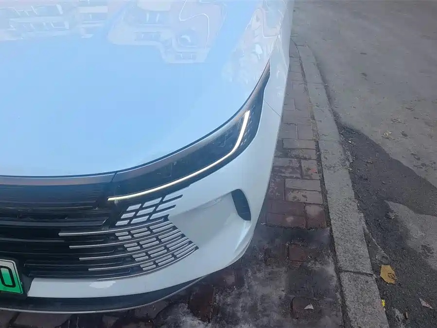 BYD BYD Destroyer 05 2024 Honor Edition DM-i 55KM Luxury