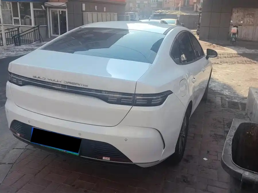 BYD BYD Destroyer 05 2024 Honor Edition DM-i 55KM Luxury