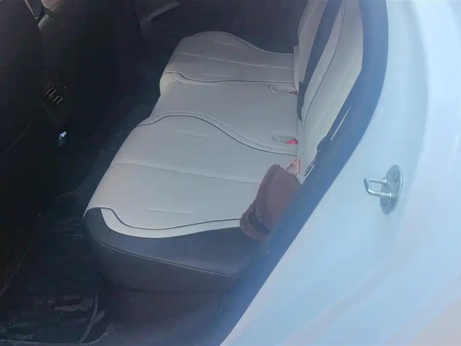 BYD BYD Destroyer 05 2024 Honor Edition DM-i 55KM Luxury