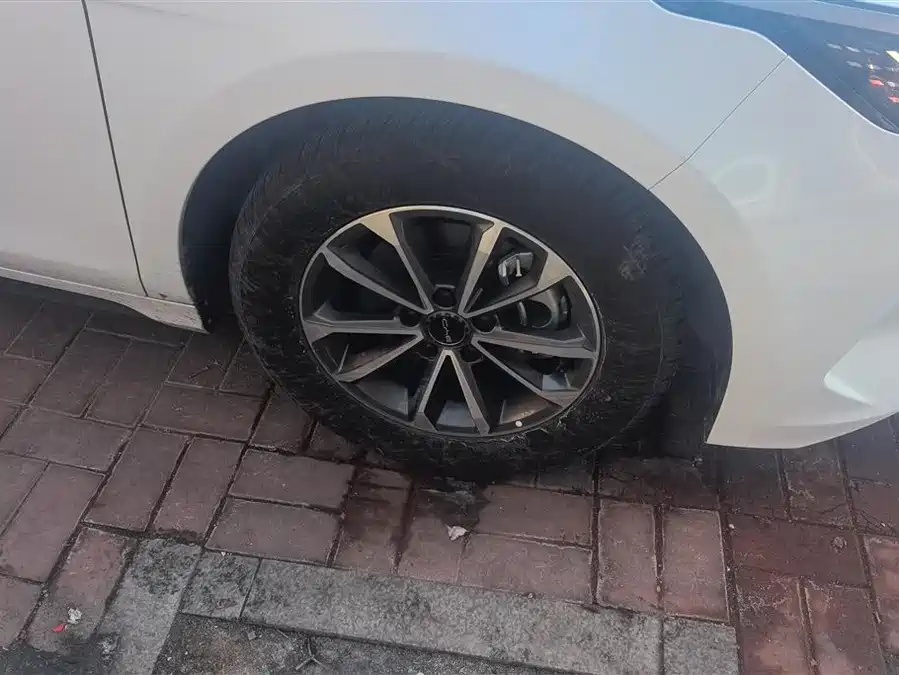 BYD BYD Destroyer 05 2024 Honor Edition DM-i 55KM Luxury