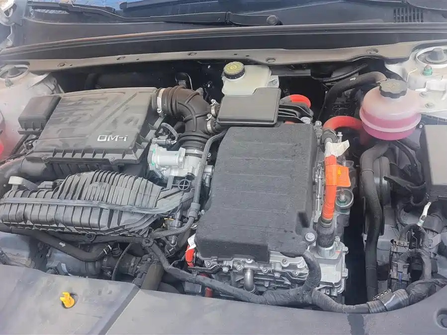 BYD BYD Destroyer 05 2024 Honor Edition DM-i 55KM Luxury