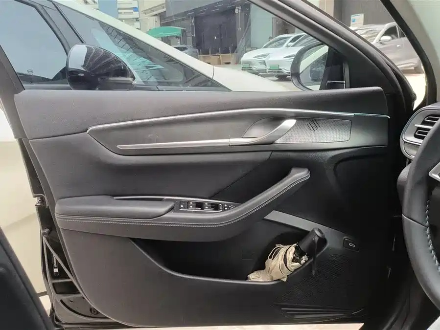 BYD BYD Destroyer 05 2024 Honor Edition DM-i 55KM Luxury