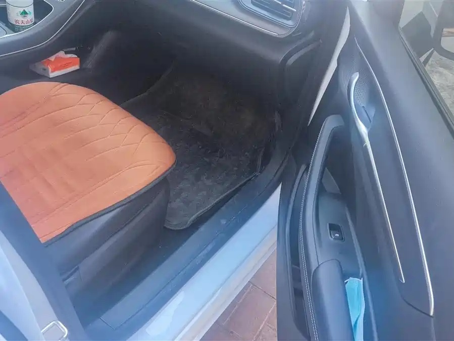 BYD BYD Destroyer 05 2024 Honor Edition DM-i 55KM Luxury