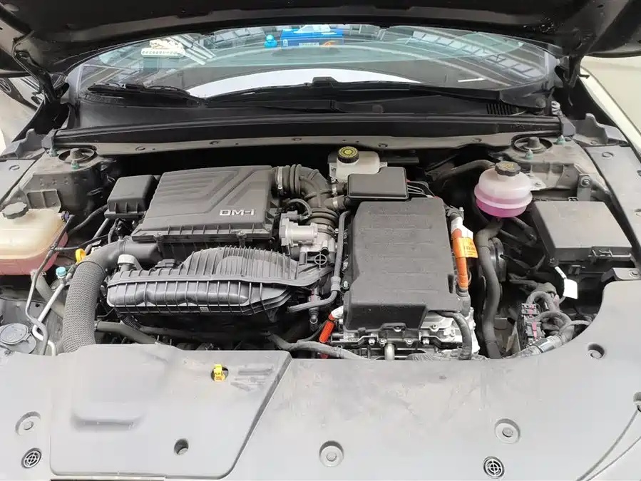 BYD Destroyer 05 2024 Edición Honor DM-i 55 km Lujo