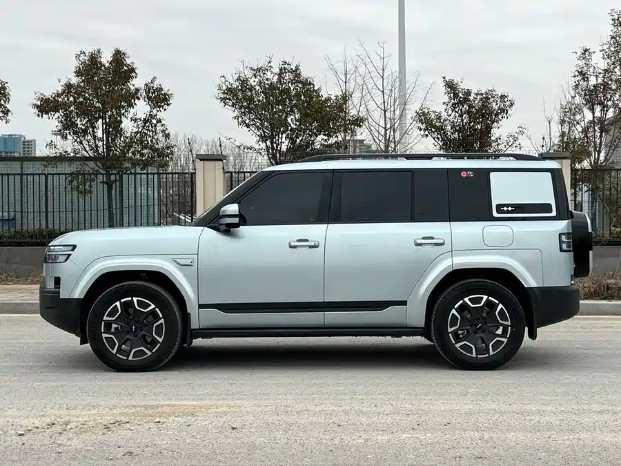 Leopard Tai 7 2025 200KM 2WD Max Version