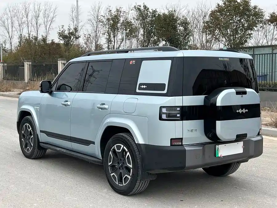 Leopard Tai 7 2025 200KM 2WD Max Version