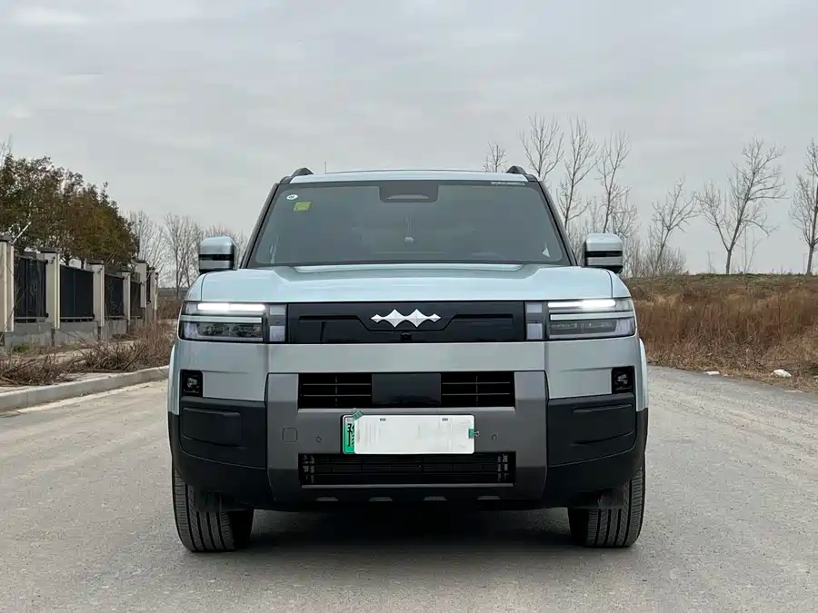 Leopard Tai 7 2025 200KM 2WD Max Version