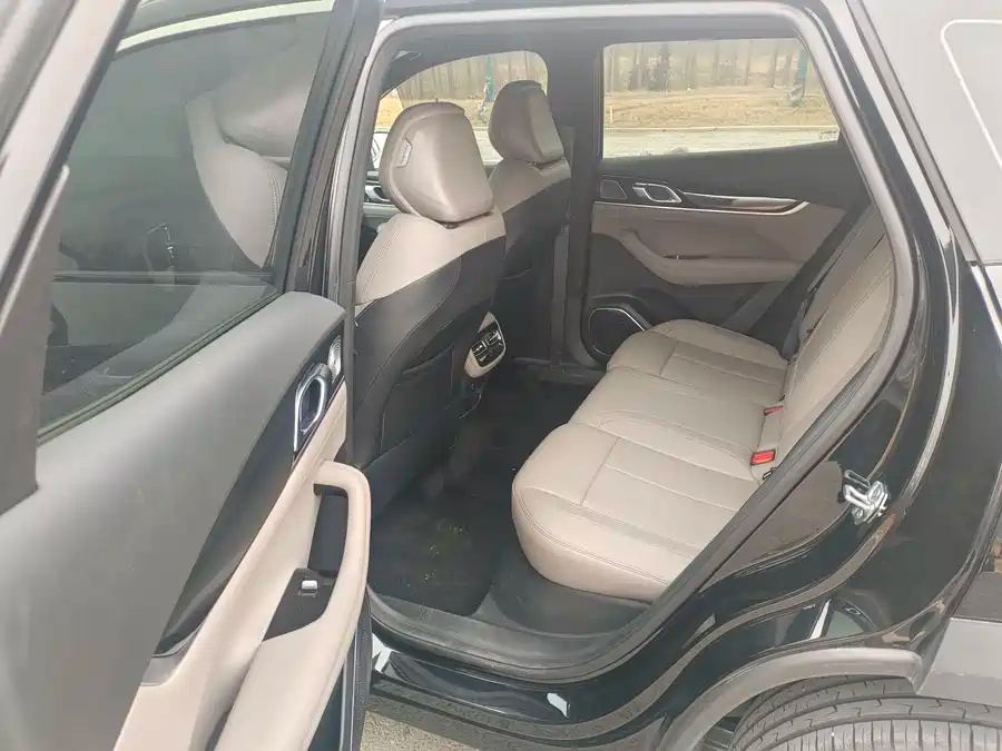 Geely 2025 Geely Starray 1.5TD DCT Shanhe Edition