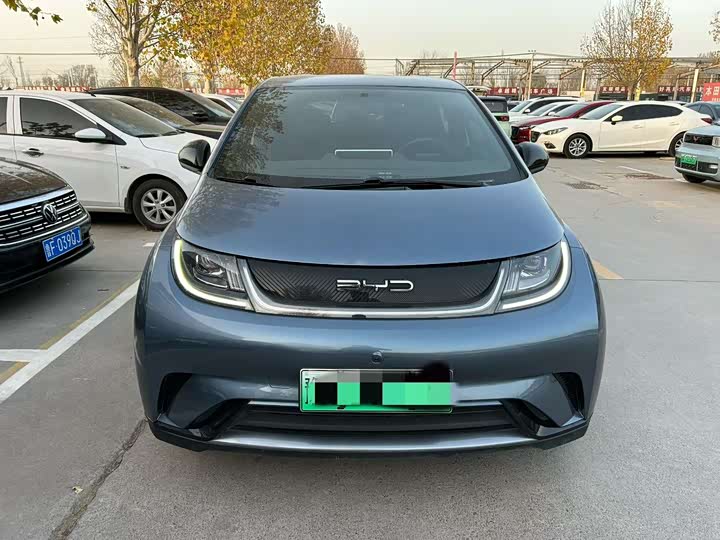 BYD Dolphin 2024 Honor 420km Fashion Version