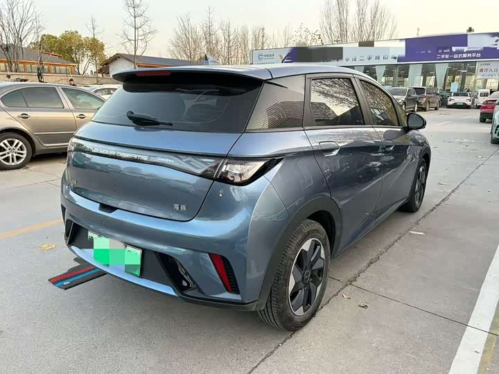 BYD BYD Dolphin 2024 Honor 420km Fashion Version