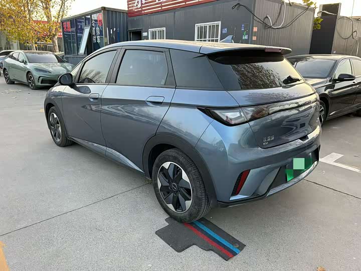 BYD BYD Dolphin 2024 Honor 420km Fashion Version