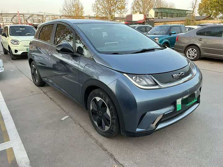 BYD BYD Dolphin 2024 Honor 420km Fashion Version