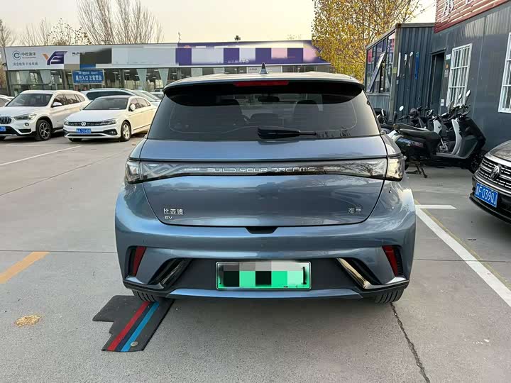 BYD BYD Dolphin 2024 Honor 420km Fashion Version