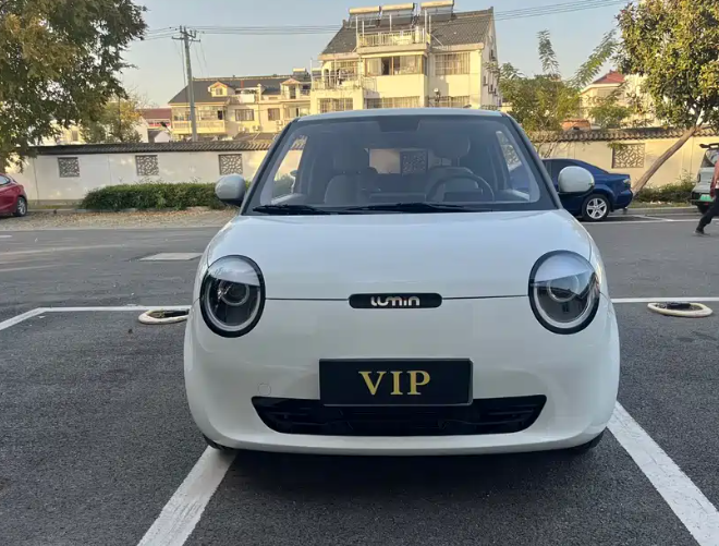 Changan 2023 Changan Lumin Model 205km Xiangqin Version