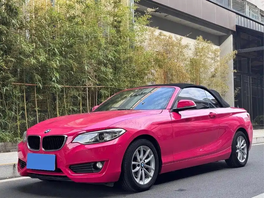 BMW BMW 2 Series (Imported) 2015 218i Convertible Coupe