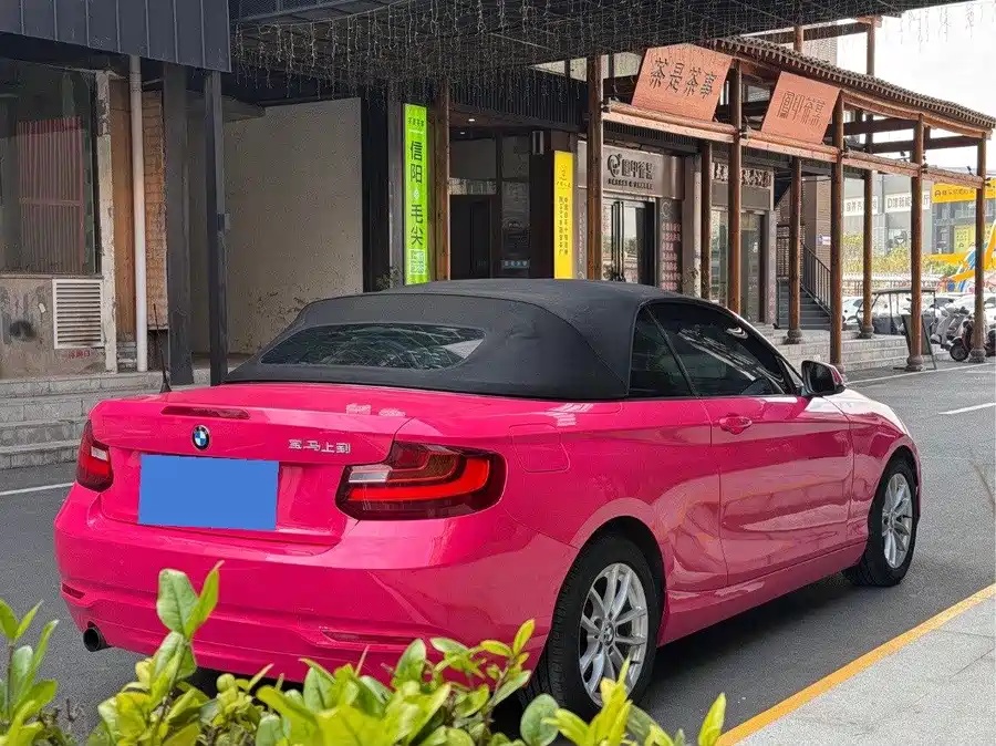 BMW BMW 2 Series (Imported) 2015 218i Convertible Coupe