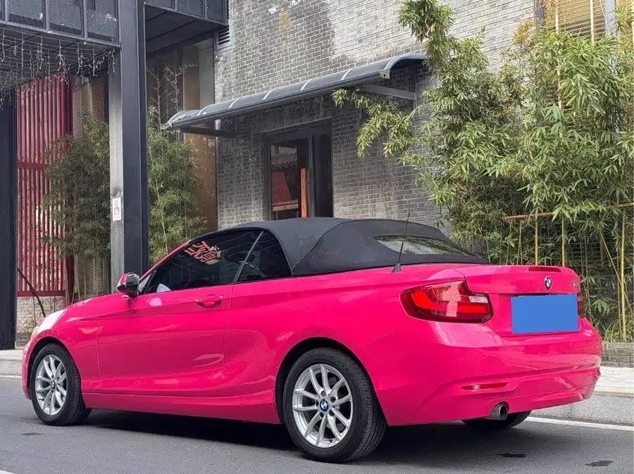 BMW BMW 2 Series (Imported) 2015 218i Convertible Coupe