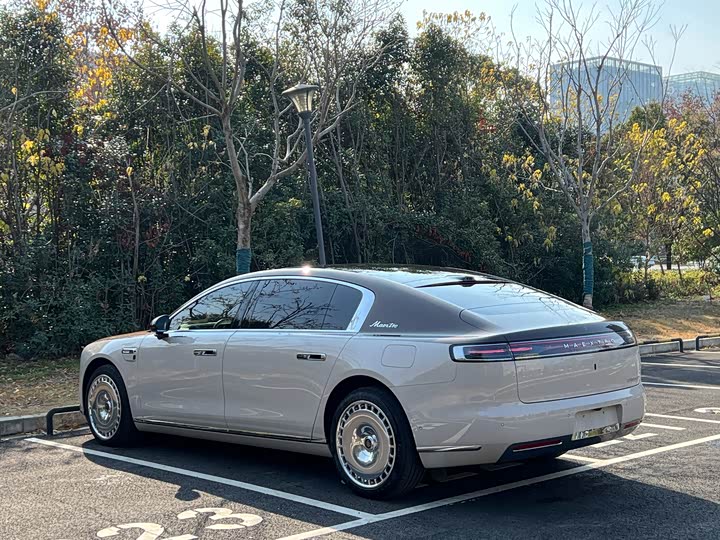 MAEXTRO MAEXTRO S800 2025 Hybrid Starlight Executive Edition 4 seats