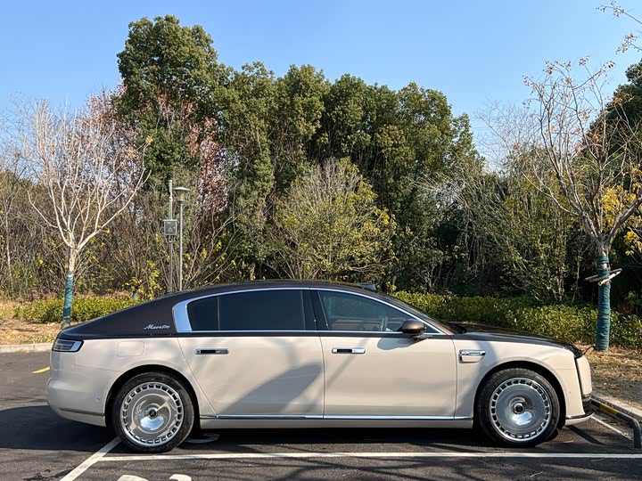 MAEXTRO MAEXTRO S800 2025 Hybrid Starlight Executive Edition 4 seats