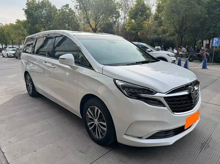 Buick GL8 ES 2021 Land Luxury 653T Premium Edition