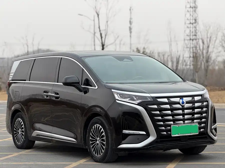 Denza D9 DM-i 2024   1050 Premium Edition