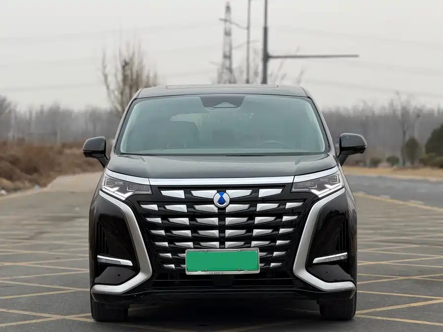 Denza Denza D9 DM-i 2024   1050 Premium Edition